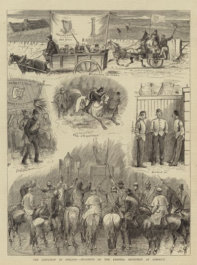 Die Agitation in Irland, Vorfälle bei der Parnell-Empfang in Limerick von William Ralston